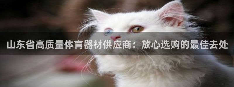 极悦平台官网入口下载：山东省高质量体育器材供应商：放