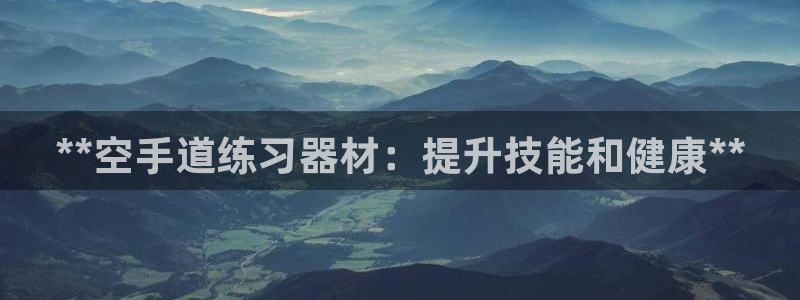 加盟极悦教育要多少钱：**空手道练习器材：提升技能和