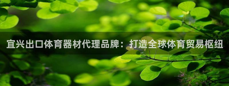 极悦官方网站app下载软件：宜兴出口体育器材代理品牌