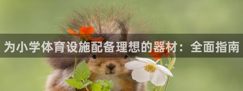极悦平台app二维码怎么弄出来：为小学体育设施配备理
