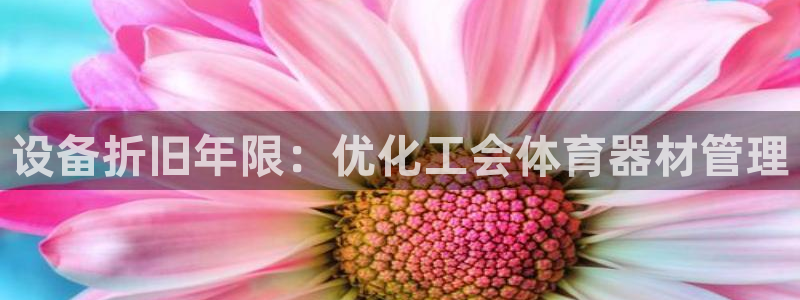 极悦牙膏怎么样好不好：设备折旧年限：优化工会体育器材