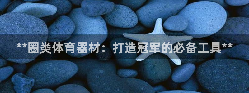 极悦平台登录最新版本更新内容在哪：**圈类体育器材：