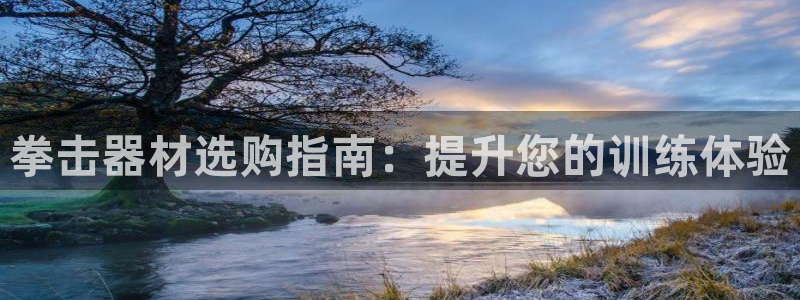 极悦娱乐的内部员工福利：拳击器材选购指南：提升您的训