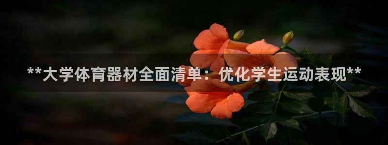 极悦平台官网登录入口：**大学体育器材全面清单：优化