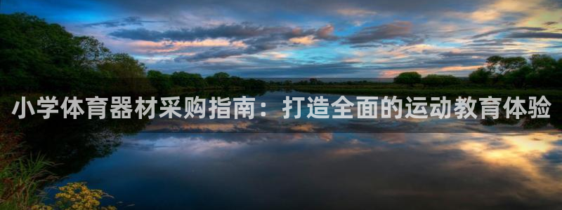 极悦平台客服团队：小学体育器材采购指南：打造全面的运