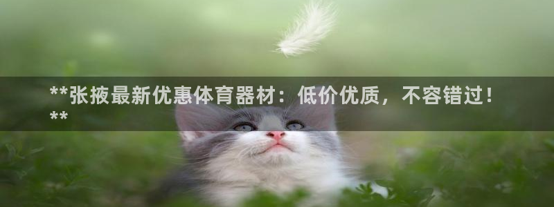 极悦平台注册申请流程详解视频：**张掖最新优惠体育器