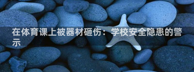 极悦娱乐代理多少钱一个月：在体育课上被器材砸伤：学校