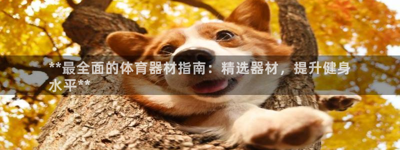 极悦平台登录最新版本更新内容：**最全面的体育器材指