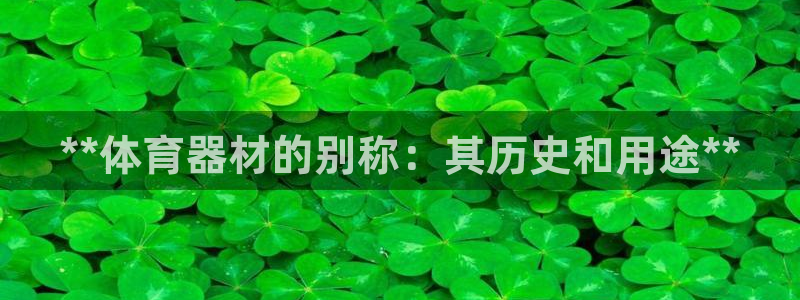 极悦平台注册流程详解：**体育器材的别称：其历史和用