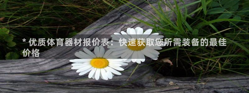 极悦娱乐官网入口网站：* 优质体育器材报价表：快速获