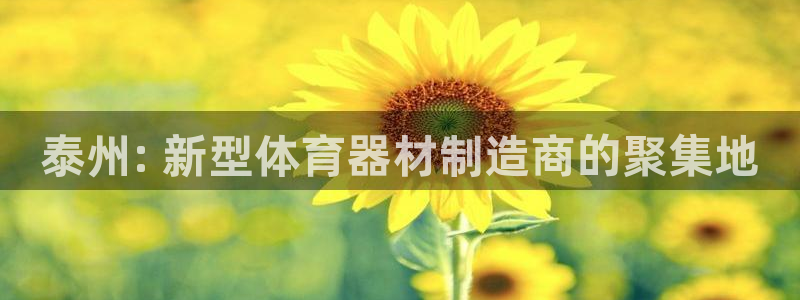 极悦平台注册用户名验证失败：泰州: 新型体育器材制造