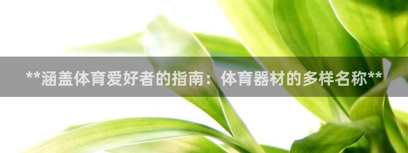 极悦娱乐登录网站每天的工作内容：**涵盖体育爱好者的