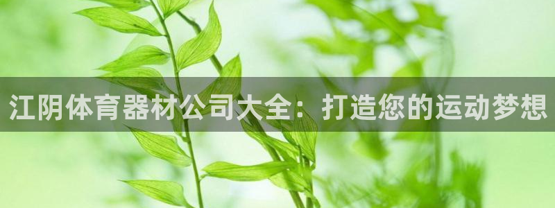 极悦官方网站：江阴体育器材公司大全：打造您的运动梦想