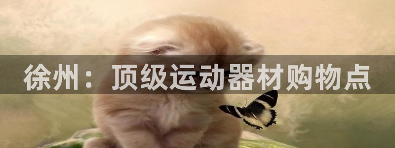 无锡极悦科技有限公司：徐州：顶级运动器材购物点