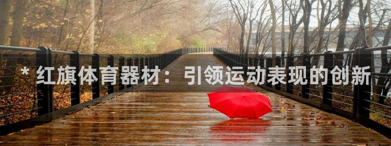 极悦平台：* 红旗体育器材：引领运动表现的创新