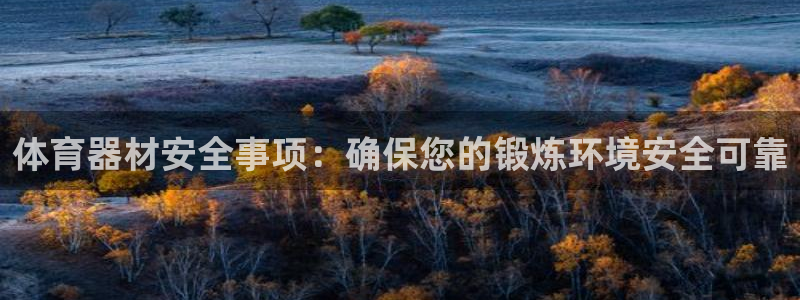 极悦平台有风险吗：体育器材安全事项：确保您的锻炼环境