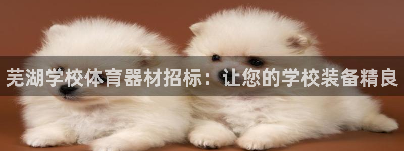极悦平台股东名单：芜湖学校体育器材招标：让您的学校装