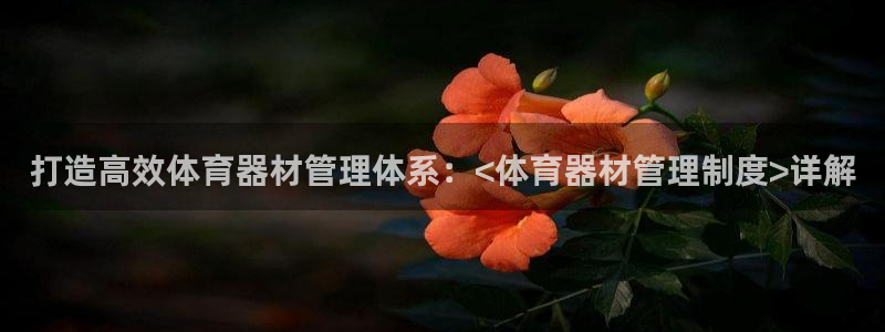 极悦平台股东：打造高效体育器材管理体系：<体育器材管