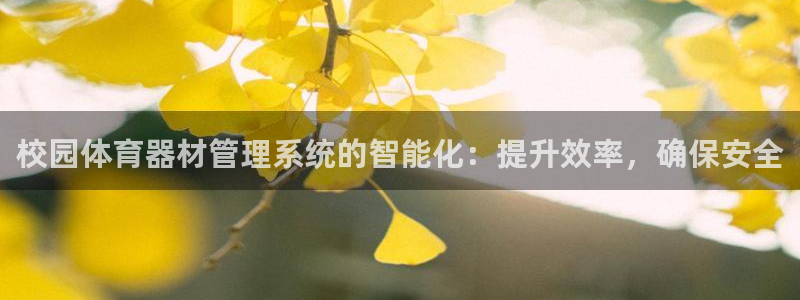 极悦官方网站app下载安卓：校园体育器材管理系统的智