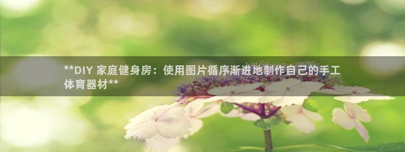 极悦平台注册失败如何解决方法：**DIY 家庭健身房