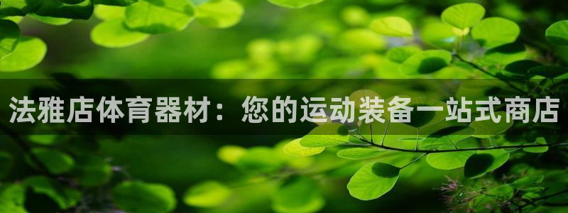 极悦平台官方网站：法雅店体育器材：您的运动装备一站式