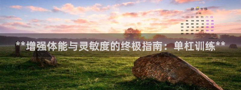 极悦平台官方网站登录入口：**增强体能与灵敏度的终极