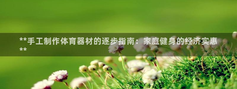 极悦平台登录不进去怎么回事呢：**手工制作体育器材的