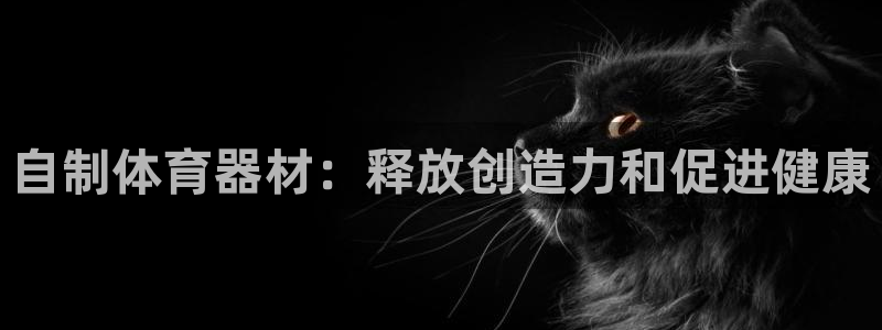 极悦娱乐官网入口网站：自制体育器材：释放创造力和促进