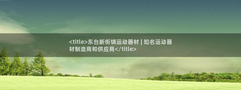 极悦娱乐部7O777：<title>东台新街镇运动器