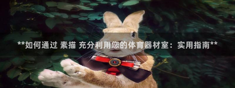 极悦平台注册用户名验证：**如何通过 素描 充分利用
