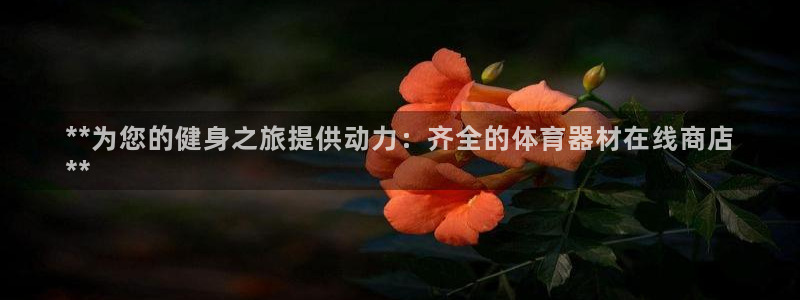 加盟极悦教育：**为您的健身之旅提供动力：齐全的体育