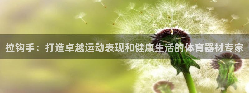 极悦娱乐负责人：拉钩手：打造卓越运动表现和健康生活的