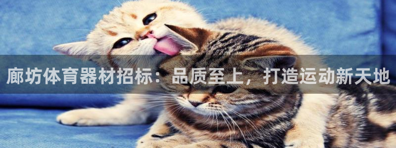 极悦平台告7O777：廊坊体育器材招标：品质至上，打