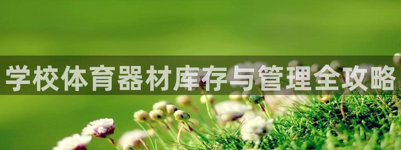 极悦娱乐下载官网安装：学校体育器材库存与管理全攻略