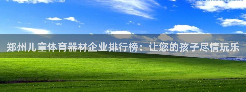 极悦官网首页登录入口网站：郑州儿童体育器材企业排行榜