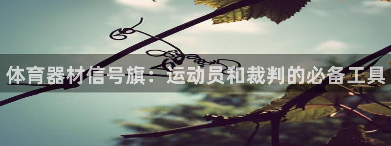 极悦平台登录方式是什么：体育器材信号旗：运动员和裁判