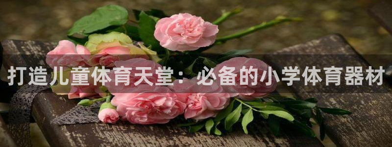 极悦平台官网登录网址是多少：打造儿童体育天堂：必备的