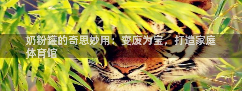 极悦娱乐官网入口：奶粉罐的奇思妙用：变废为宝，打造家