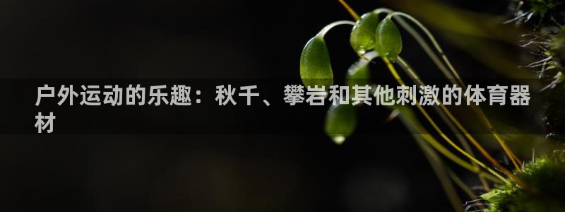 极悦平台注册失败如何解决问题：户外运动的乐趣：秋千、