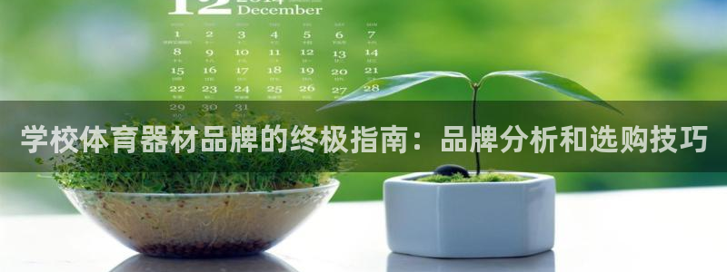 极悦平台登录不进去怎么回事：学校体育器材品牌的终极指