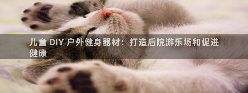 极悦平台注册资金多少亿：儿童 DIY 户外健身器材：