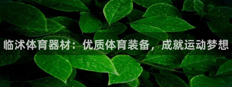极悦官网的登录方法有哪些：临沭体育器材：优质体育装备