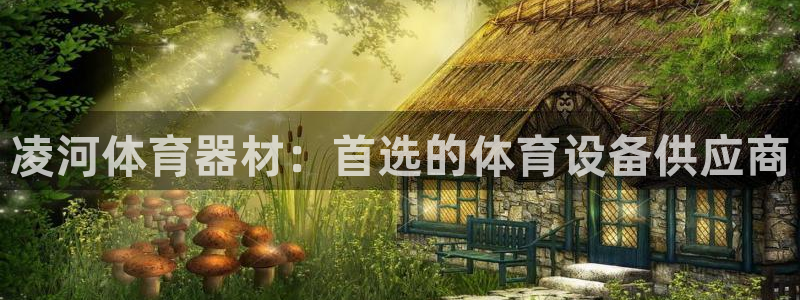 极悦娱乐的创始人背景故事：凌河体育器材：首选的体育设