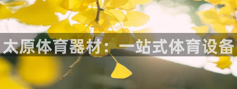极悦官方网站app下载软件：太原体育器材：一站式体育