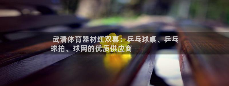 极悦娱乐的最新版本更新内容是什么： 武清体育器材红双