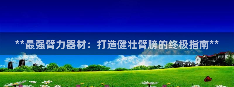 极悦娱乐官方网站入口：**最强臂力器材：打造健壮臂膀
