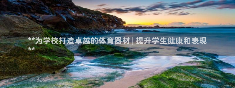 极悦平台股东：**为学校打造卓越的体育器材 | 提升