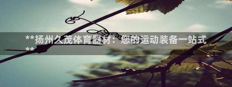 极悦是什么牌子空调：**扬州久茂体育器材：您的运动装