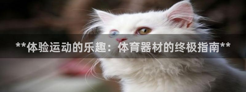 极悦平台注册登录入口网址：**体验运动的乐趣：体育器