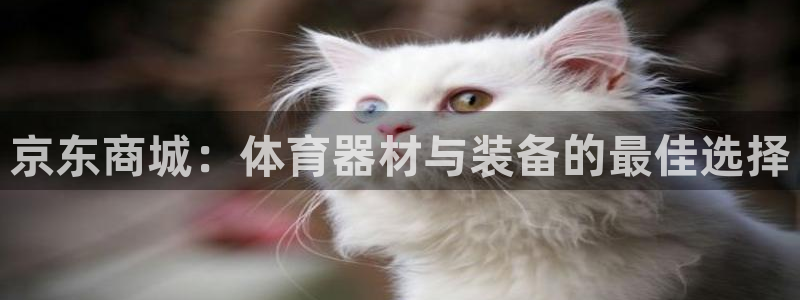 极悦官方网站app下载软件：京东商城：体育器材与装备